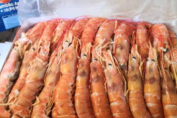 Frozen Argentina Shrimp