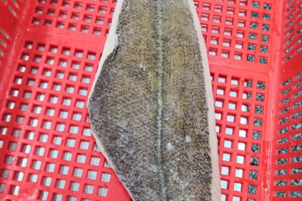 Frozen Arrow flounder Fillets/Portion