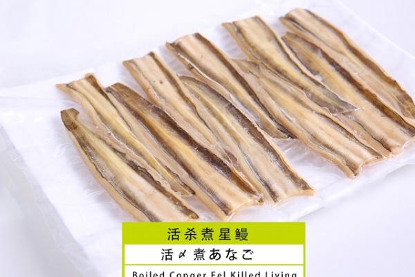 Frozen Boiled Anago Fillets