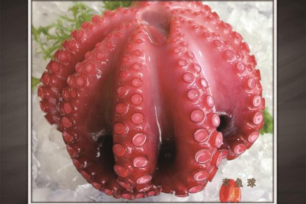 Frozen Octopus Cooked Whole