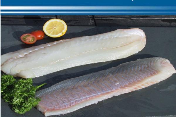 Frozen Saithe Fillets