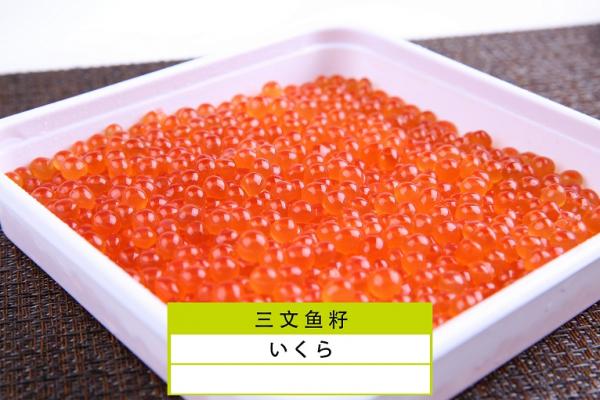 Frozen Salmon Roe