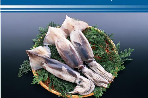 Frozen Squid Whole Round