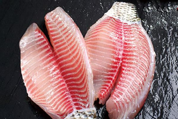 Frozen Tilapia Fillets