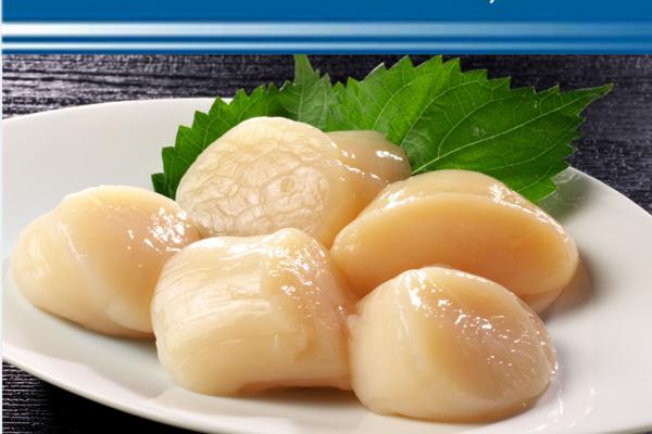 Frozen sea scallops meat